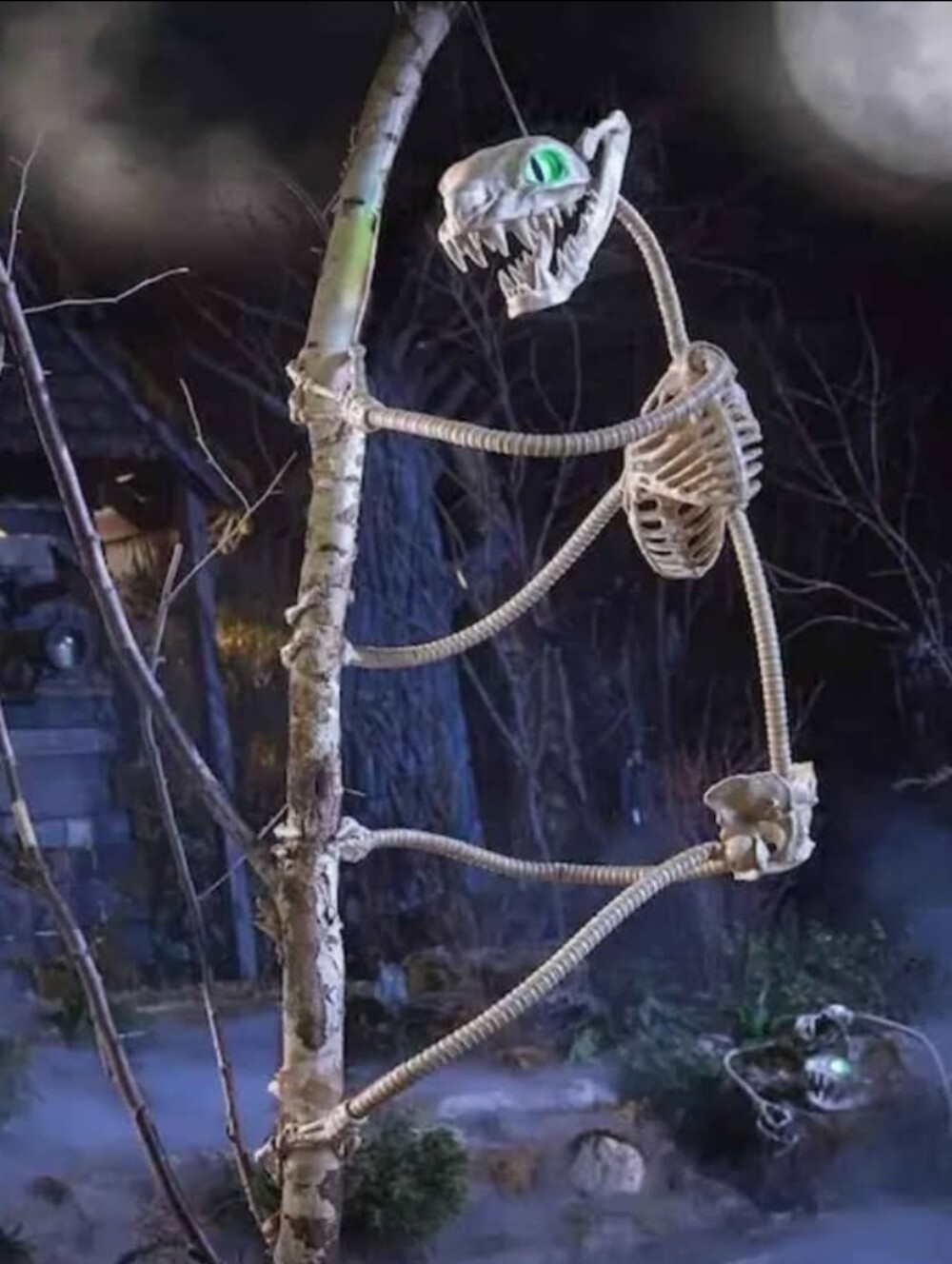 3pk Of 5.5ft Graves And Bones Ultra Poseable LED Constrictor Skeleton